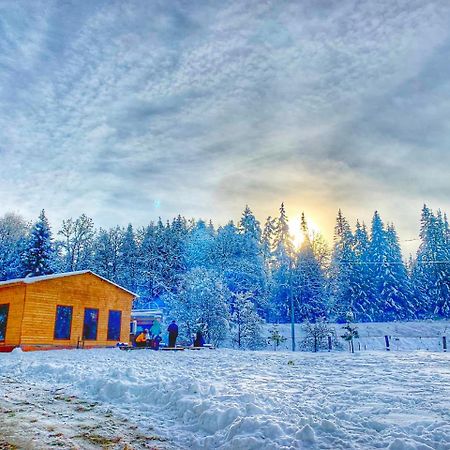 Hotel Eco House In Bakuriani Zewnętrze zdjęcie