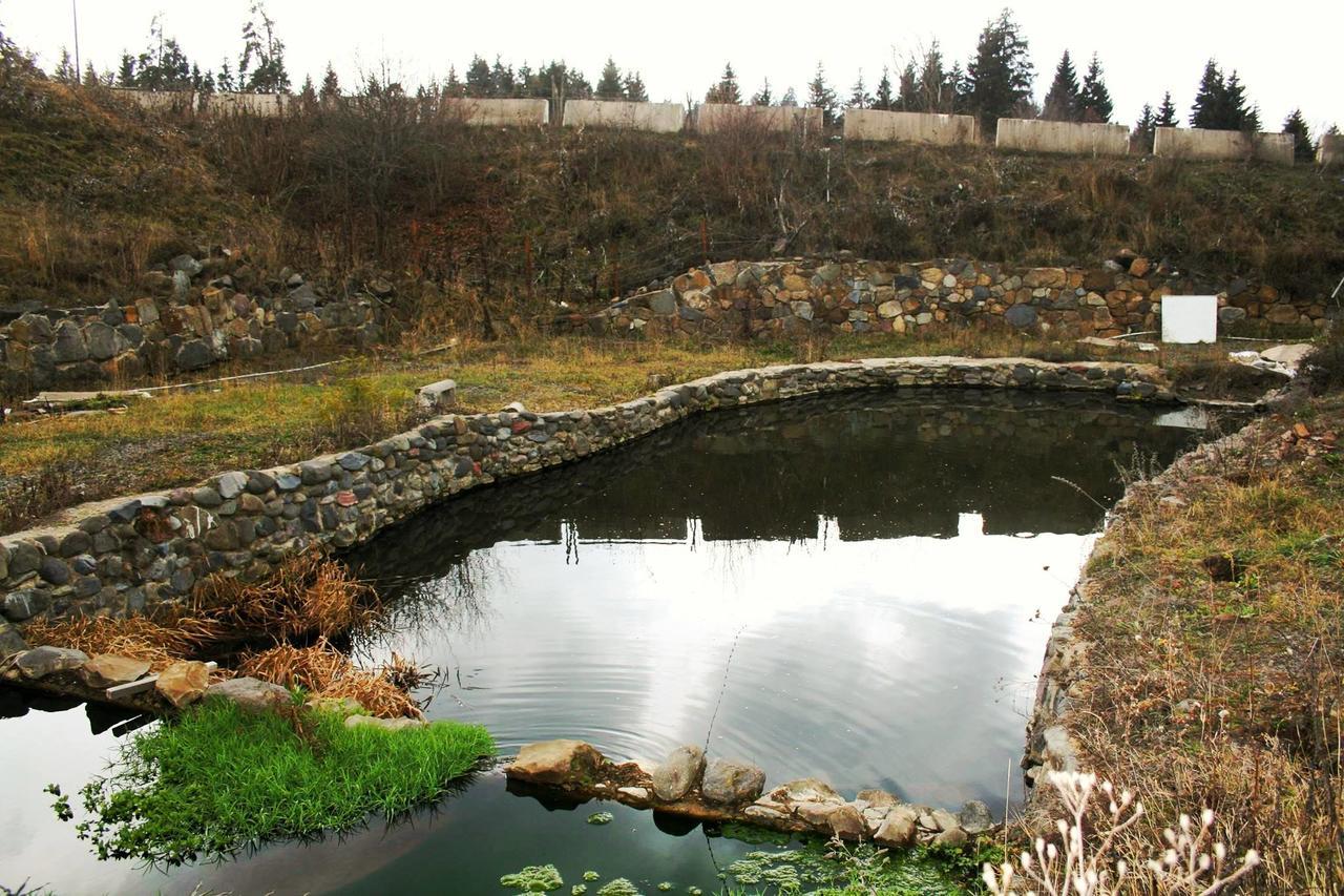 Hotel Eco House In Bakuriani Zewnętrze zdjęcie