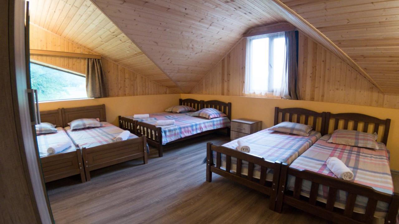 Hotel Eco House In Bakuriani Zewnętrze zdjęcie