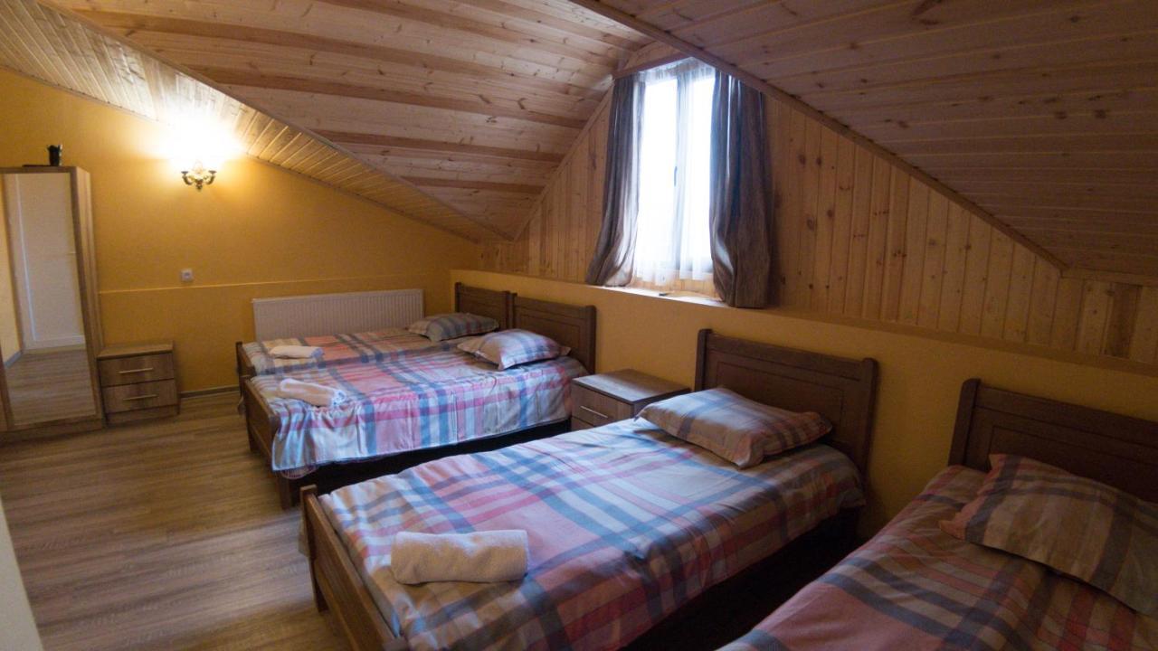 Hotel Eco House In Bakuriani Zewnętrze zdjęcie