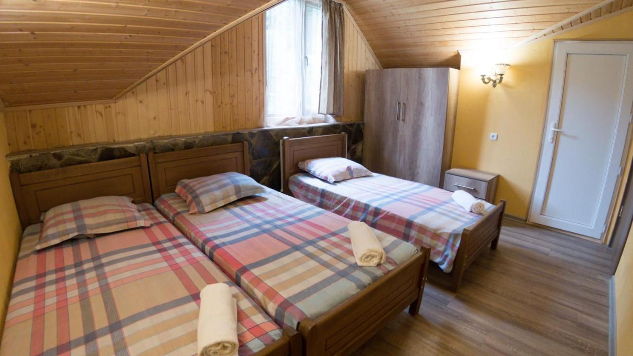 Hotel Eco House In Bakuriani Zewnętrze zdjęcie