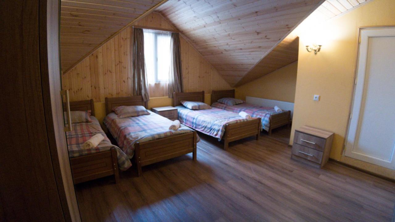 Hotel Eco House In Bakuriani Zewnętrze zdjęcie
