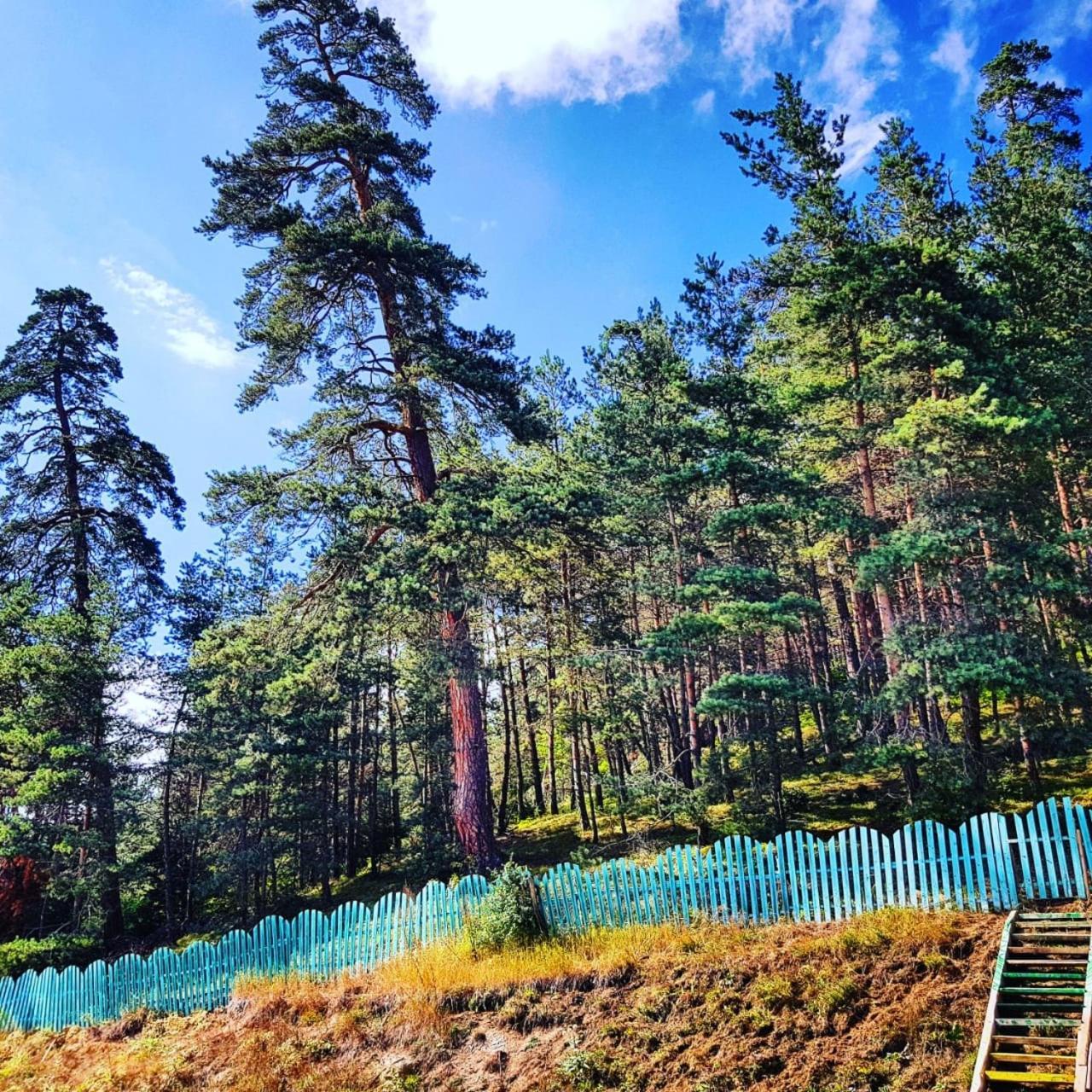 Hotel Eco House In Bakuriani Zewnętrze zdjęcie