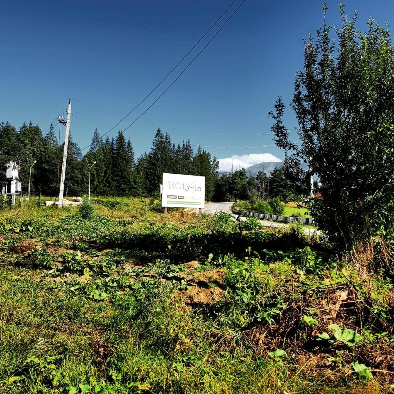 Hotel Eco House In Bakuriani Zewnętrze zdjęcie