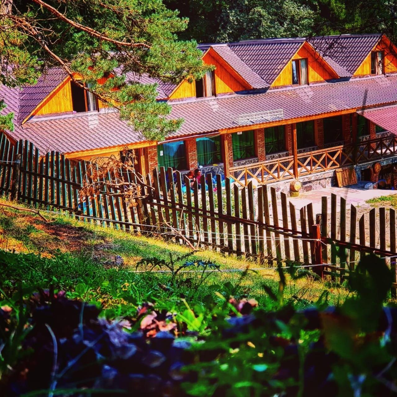 Hotel Eco House In Bakuriani Zewnętrze zdjęcie