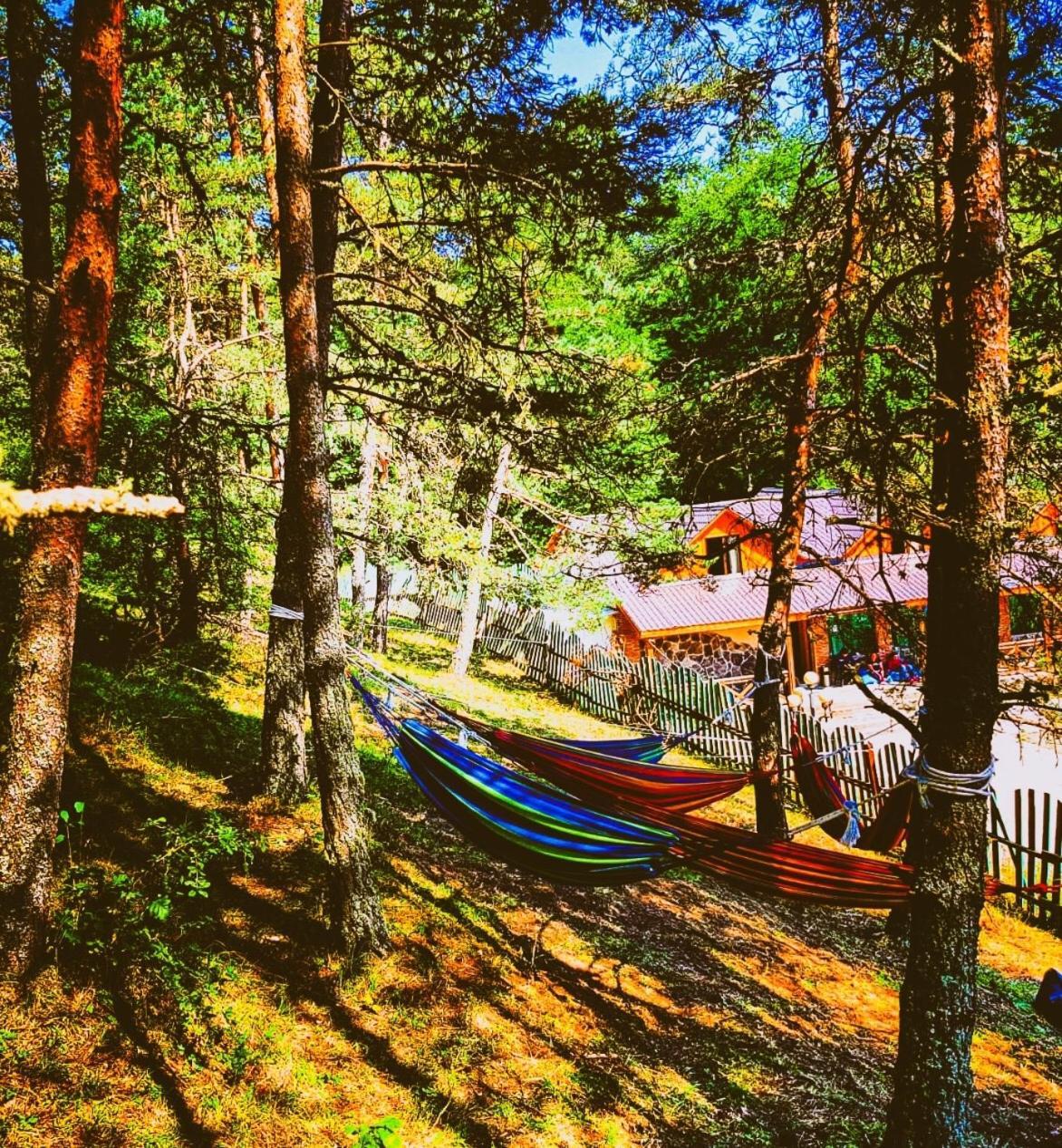 Hotel Eco House In Bakuriani Zewnętrze zdjęcie