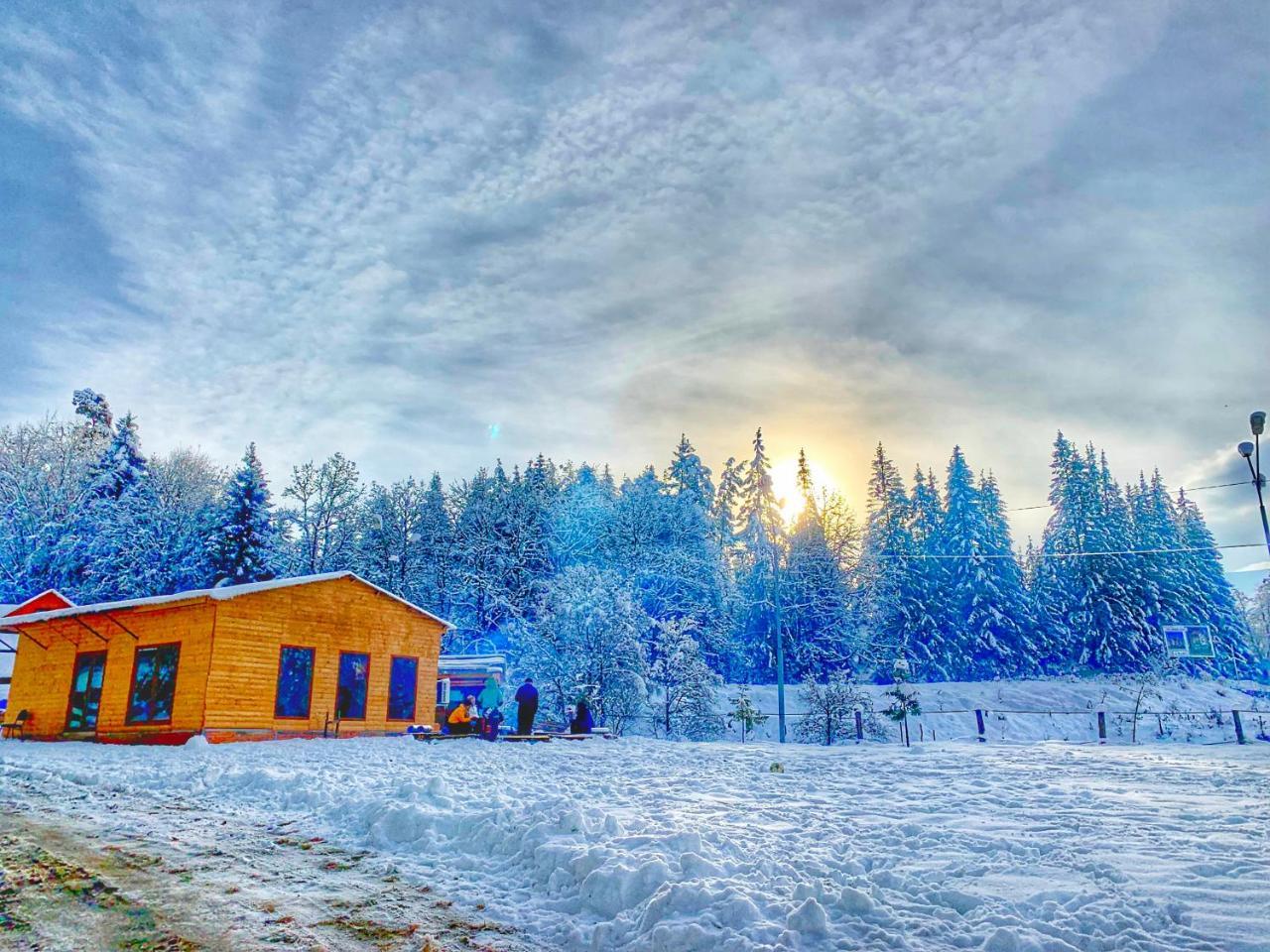 Hotel Eco House In Bakuriani Zewnętrze zdjęcie