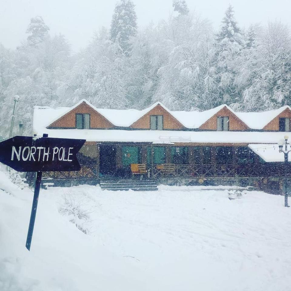 Hotel Eco House In Bakuriani Zewnętrze zdjęcie