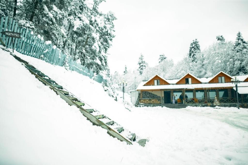 Hotel Eco House In Bakuriani Zewnętrze zdjęcie