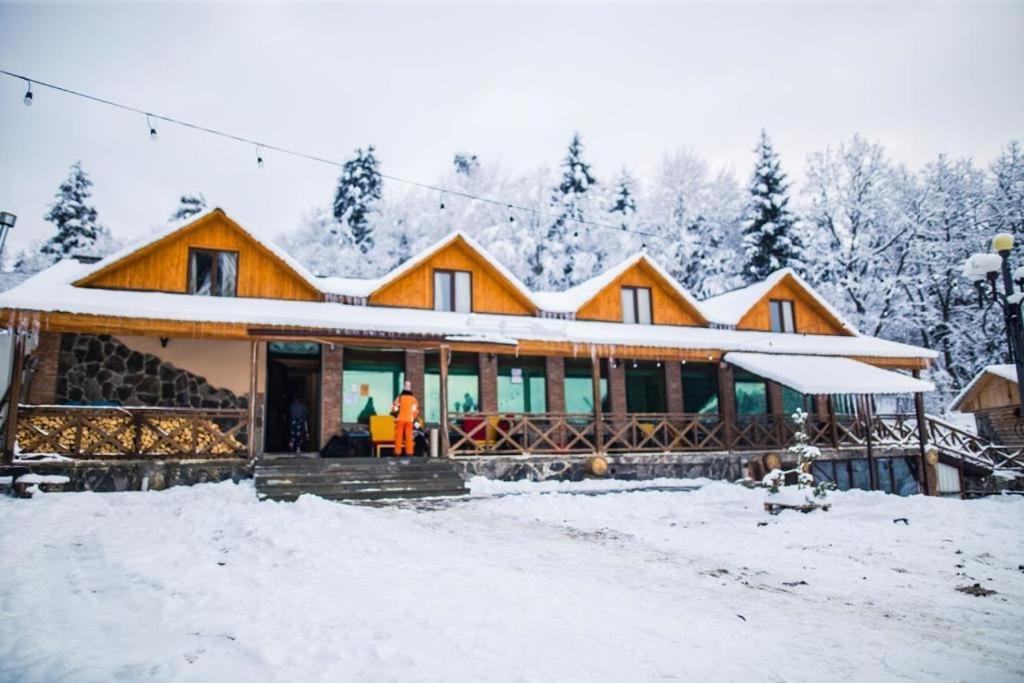 Hotel Eco House In Bakuriani Zewnętrze zdjęcie