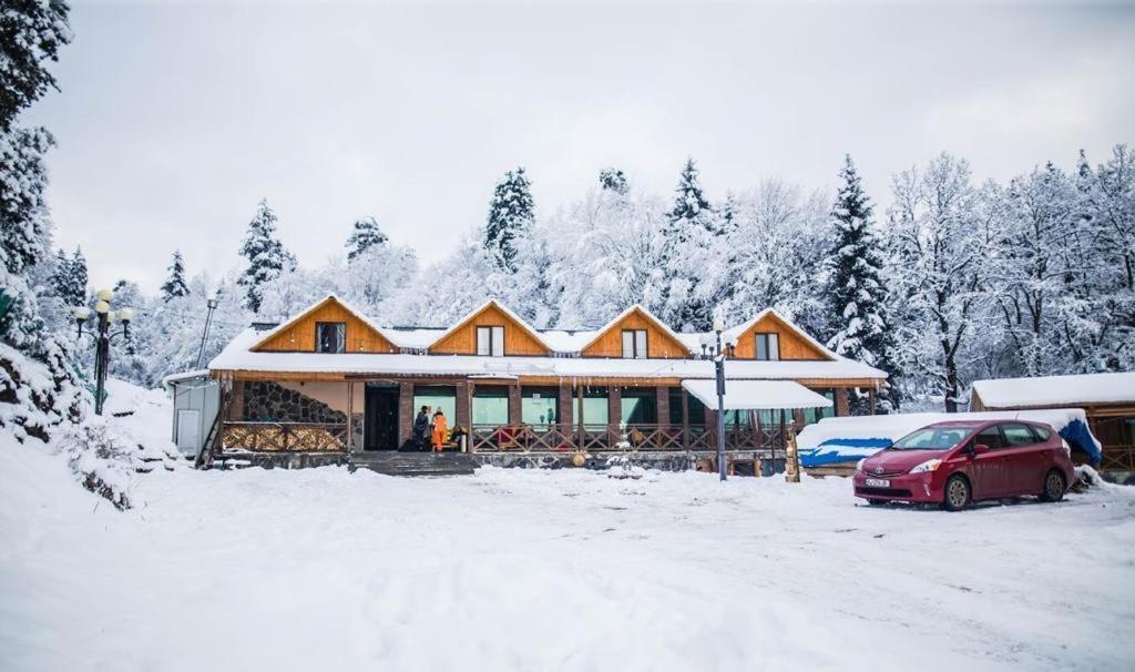 Hotel Eco House In Bakuriani Zewnętrze zdjęcie