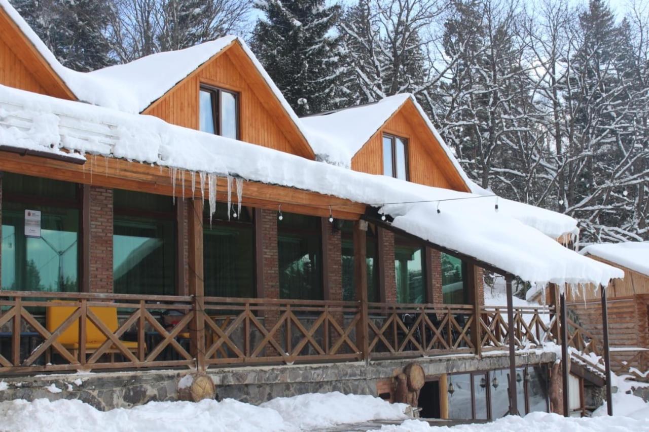 Hotel Eco House In Bakuriani Zewnętrze zdjęcie